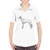 Ladies' Cool & Dry Sport Performance Interlock Polo Thumbnail